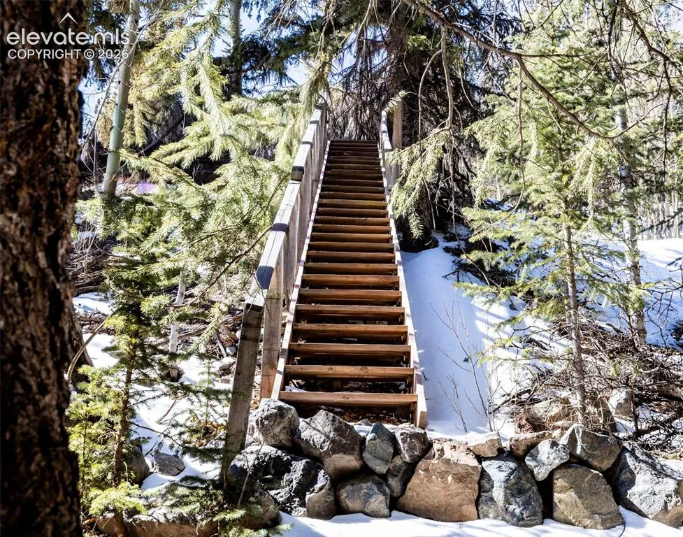 944 Roberts Road Alma, CO 80420