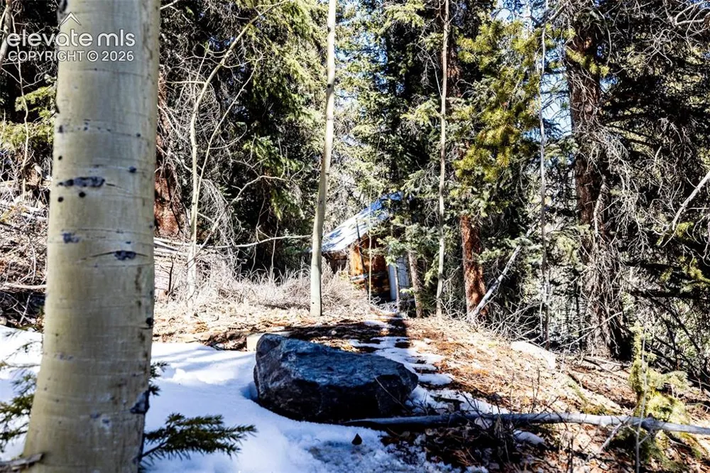 944 Roberts Road Alma, CO 80420