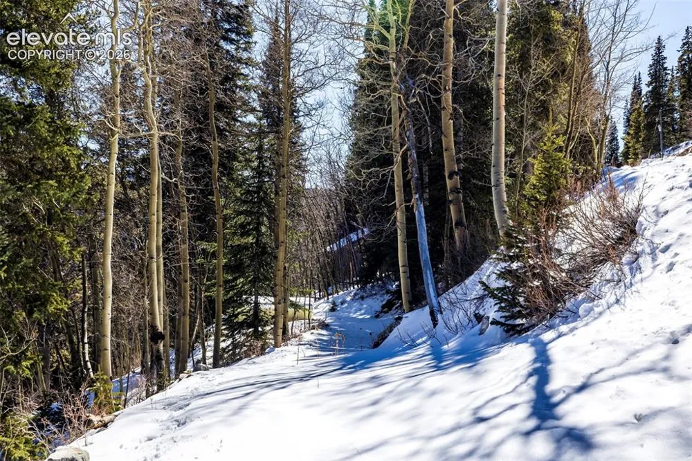 944 Roberts Road Alma, CO 80420