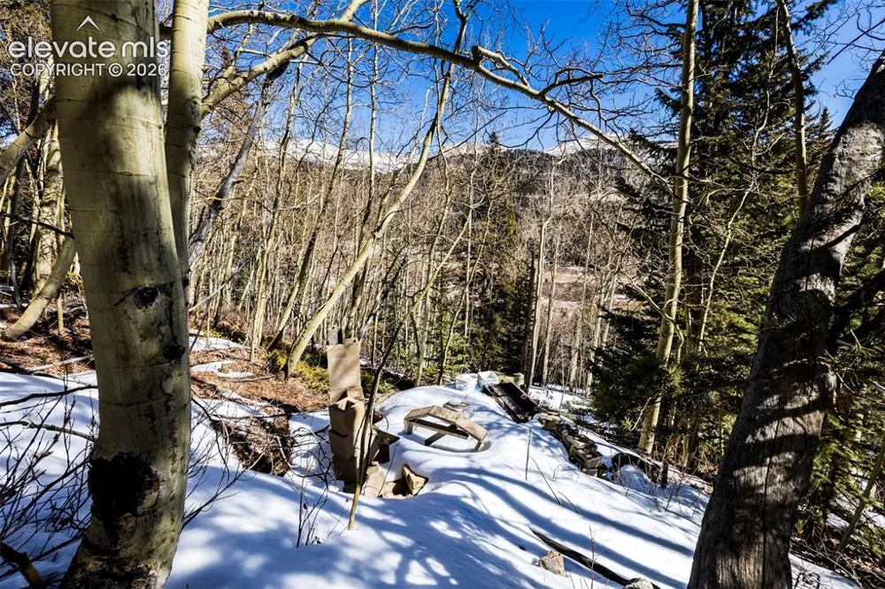 944 Roberts Road Alma, CO 80420