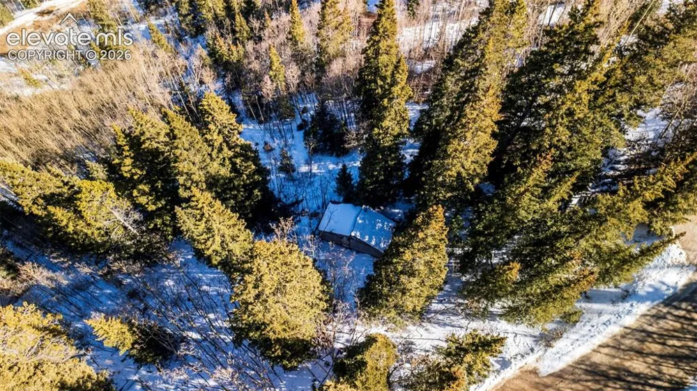 944 Roberts Road Alma, CO 80420
