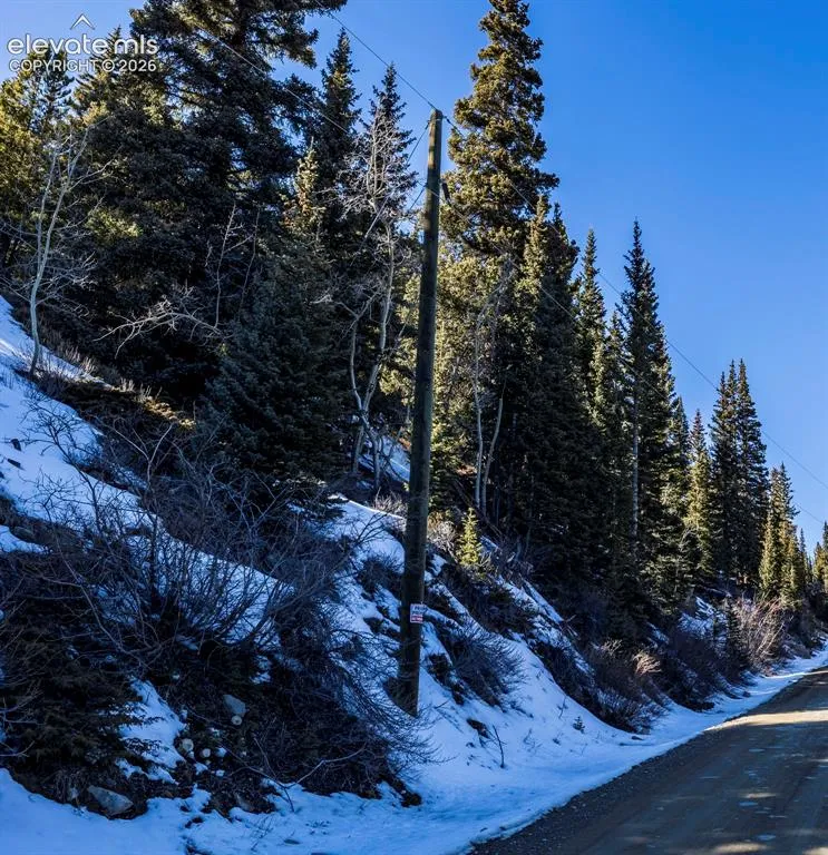 944 Roberts Road Alma, CO 80420