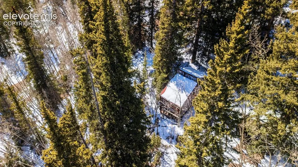 944 Roberts Road Alma, CO 80420