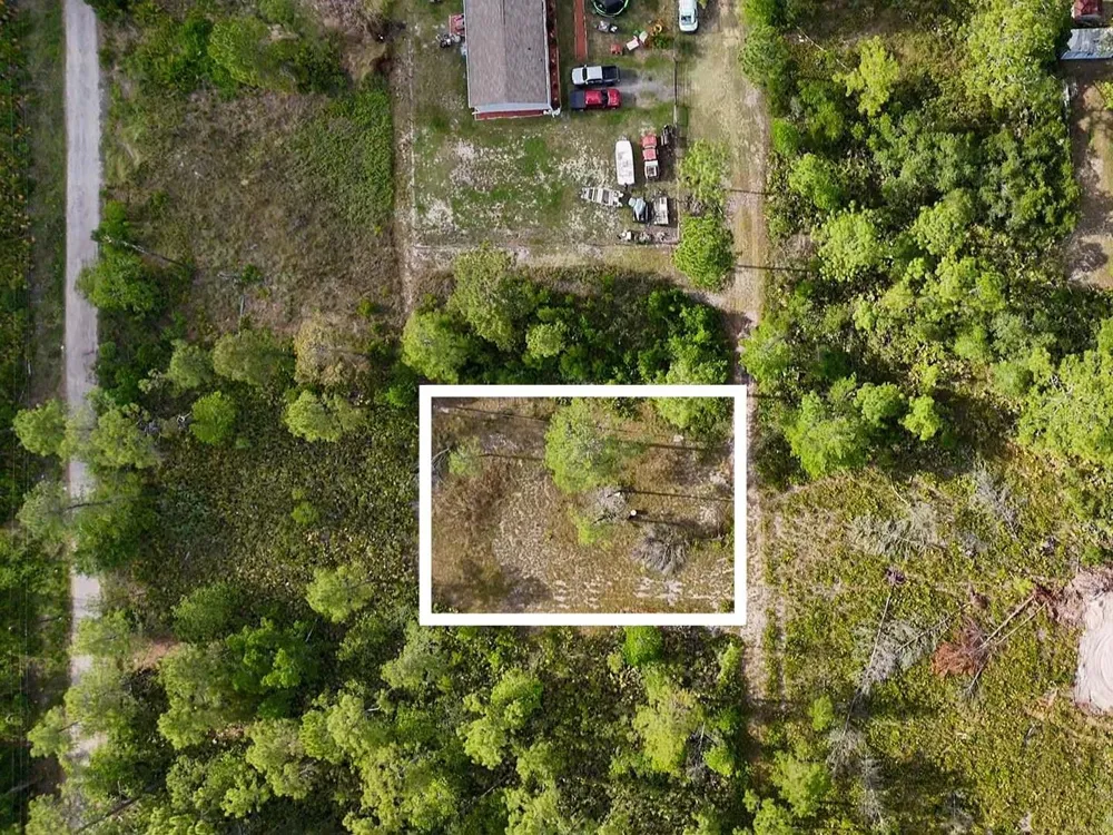 56309 VIRGINIA STREET Paisley, FL 32767
