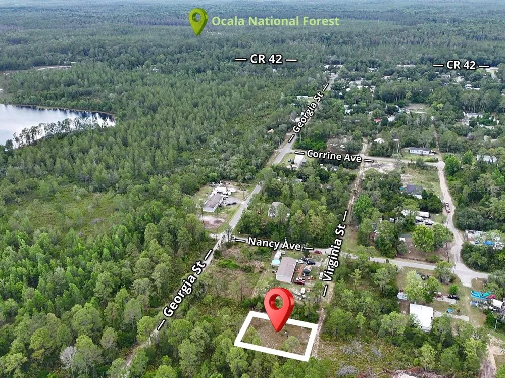 56309 VIRGINIA STREET Paisley, FL 32767