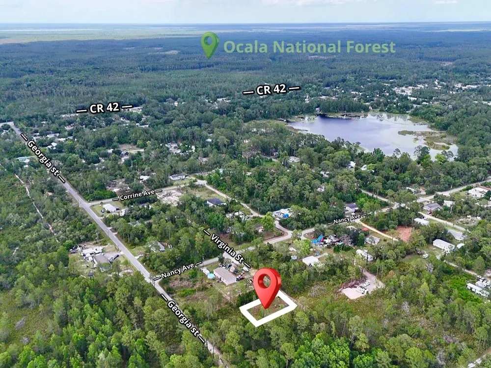 56309 VIRGINIA STREET Paisley, FL 32767