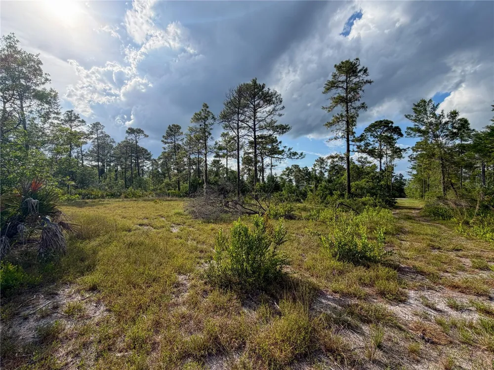 56309 VIRGINIA STREET Paisley, FL 32767
