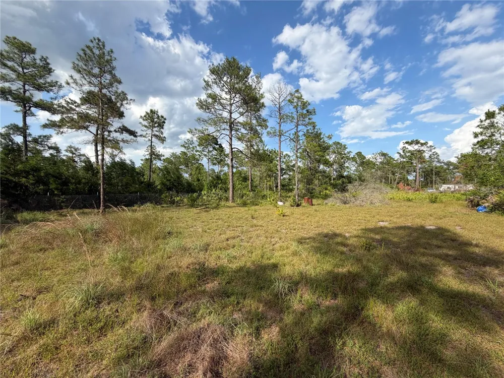 56309 VIRGINIA STREET Paisley, FL 32767