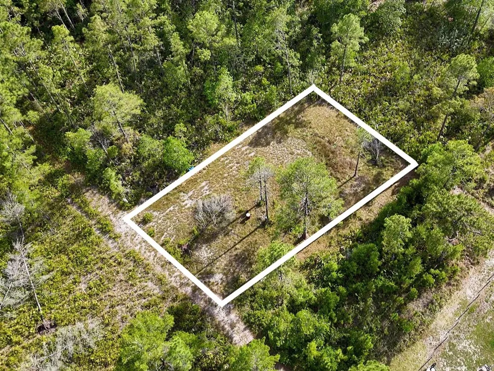 56309 VIRGINIA STREET Paisley, FL 32767