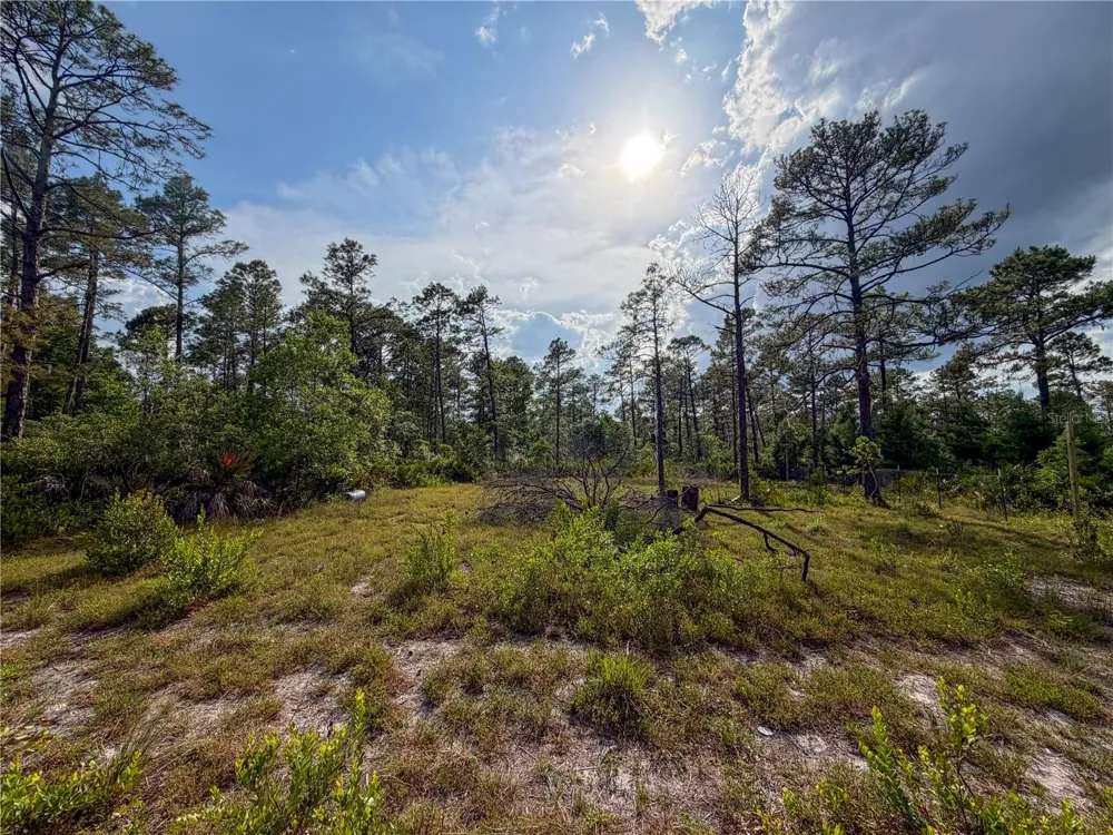 56309 VIRGINIA STREET Paisley, FL 32767