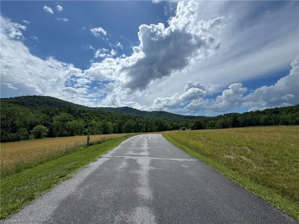 Lot #69 Turkey Trail McGrady, NC 28649