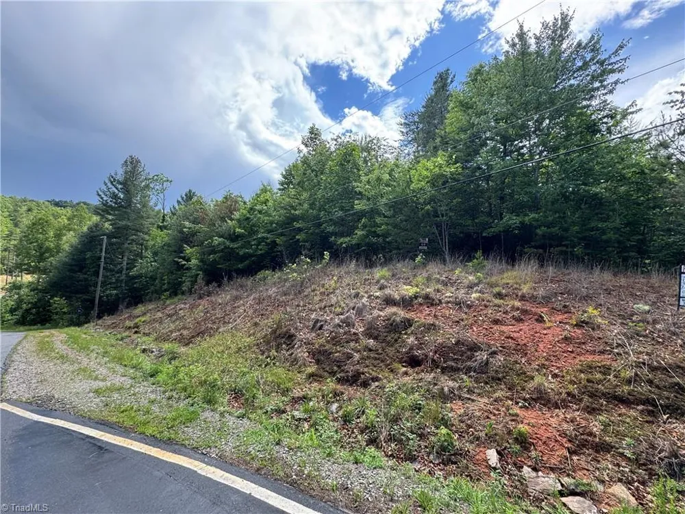 Lot #69 Turkey Trail McGrady, NC 28649