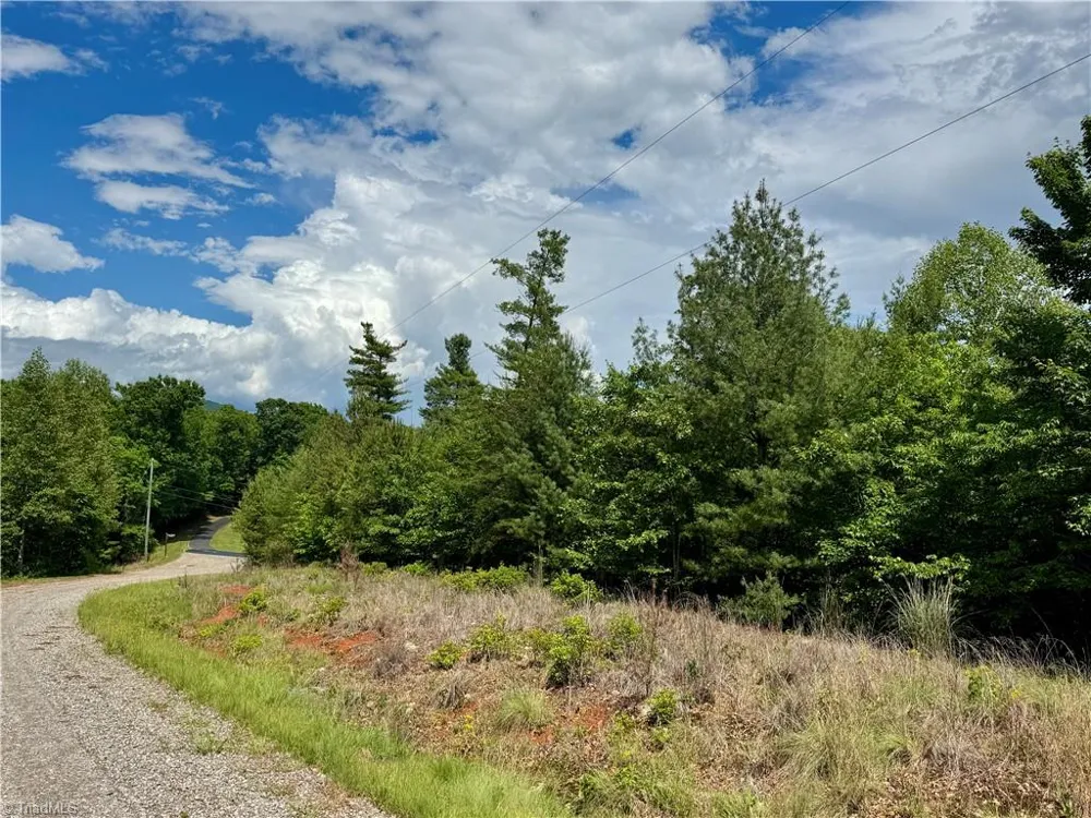 Lot #69 Turkey Trail McGrady, NC 28649