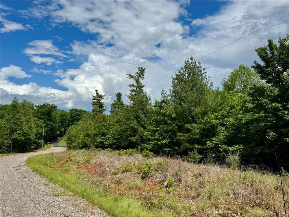 Lot #69 Turkey Trail McGrady, NC 28649