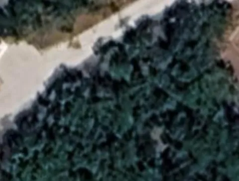CR 1519