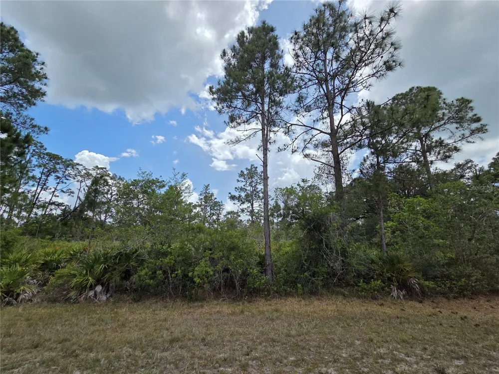 915 LAGUNA DR Indian Lake Estates, FL 33855