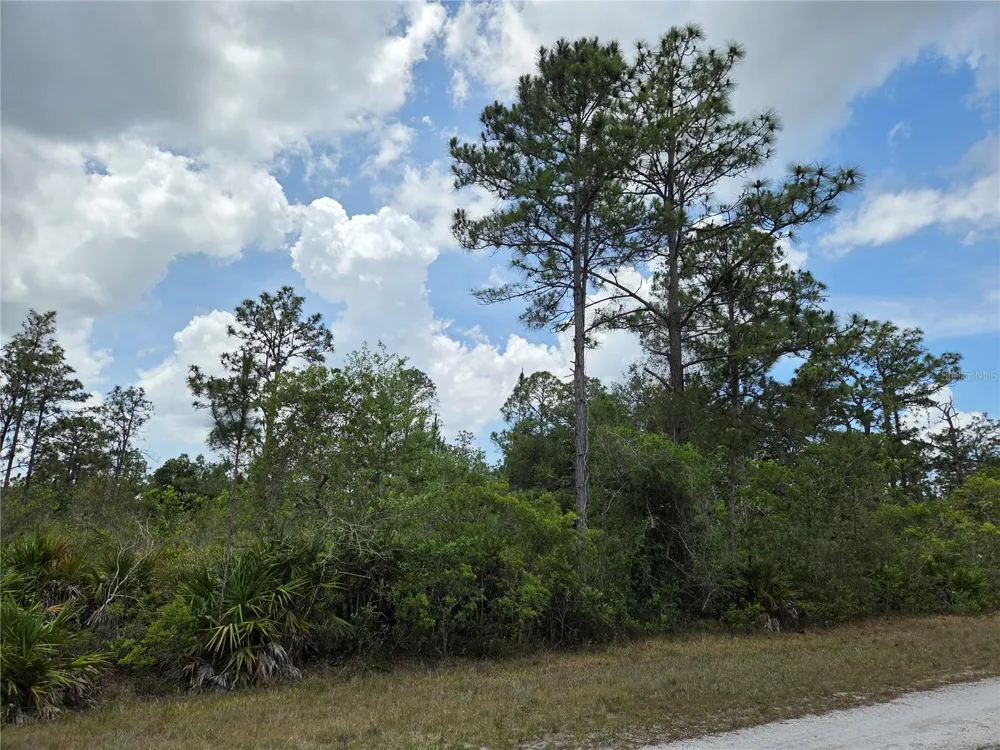 915 LAGUNA DR Indian Lake Estates, FL 33855