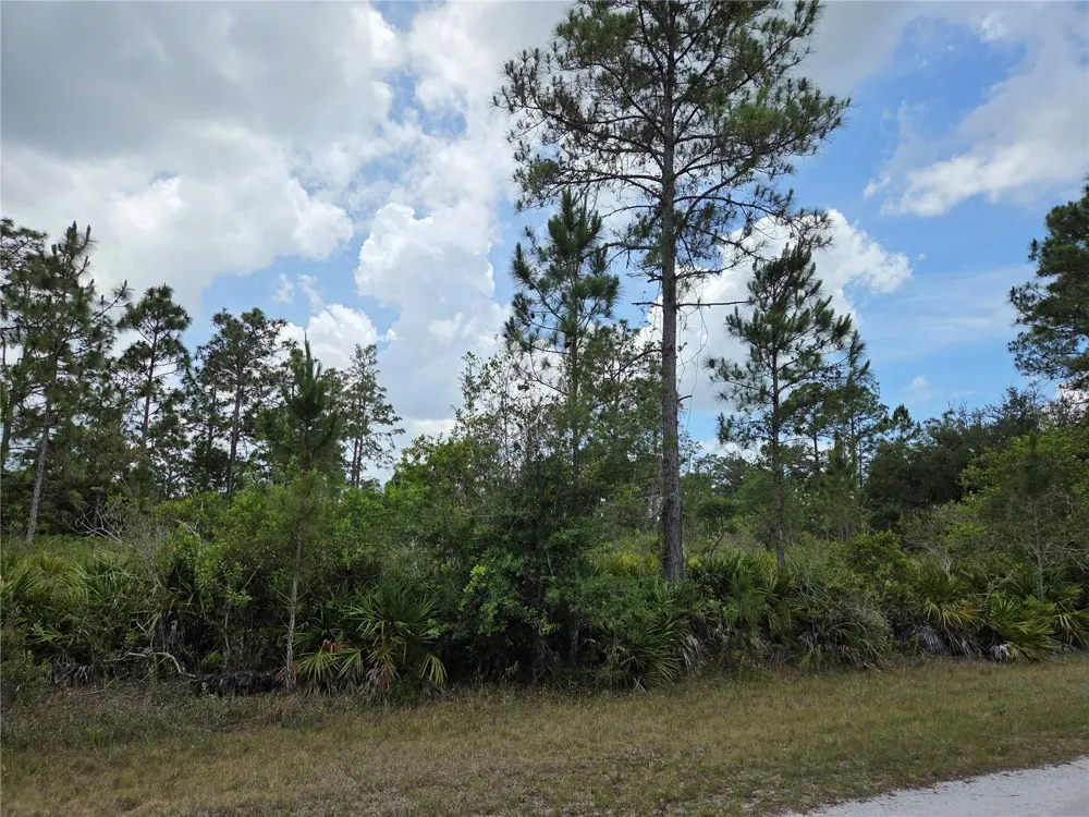 915 LAGUNA DR Indian Lake Estates, FL 33855