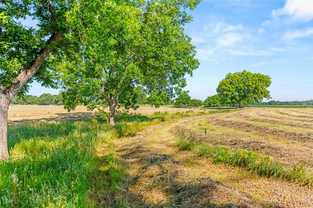 32 Hwy 6 Valley Mills, TX 76689