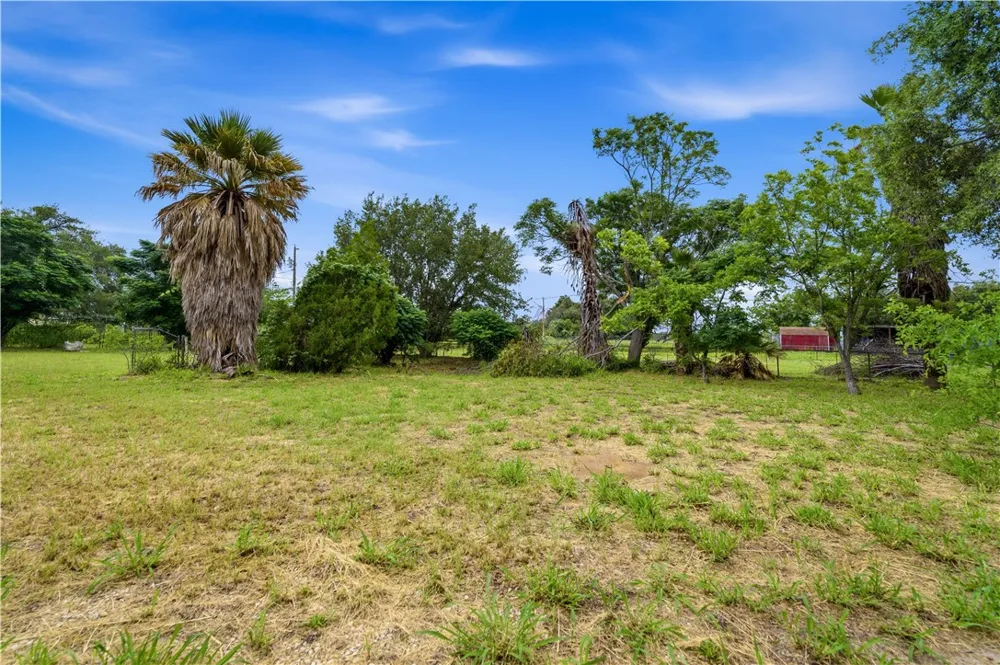 1221 Encino Drive Pleasanton, TX 78064