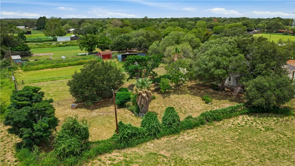 1221 Encino Drive Pleasanton, TX 78064
