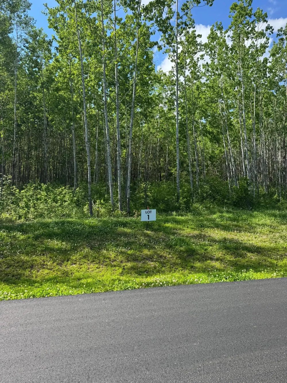 Lot xx1 Wildamere Drive Jenkins, MN 56474