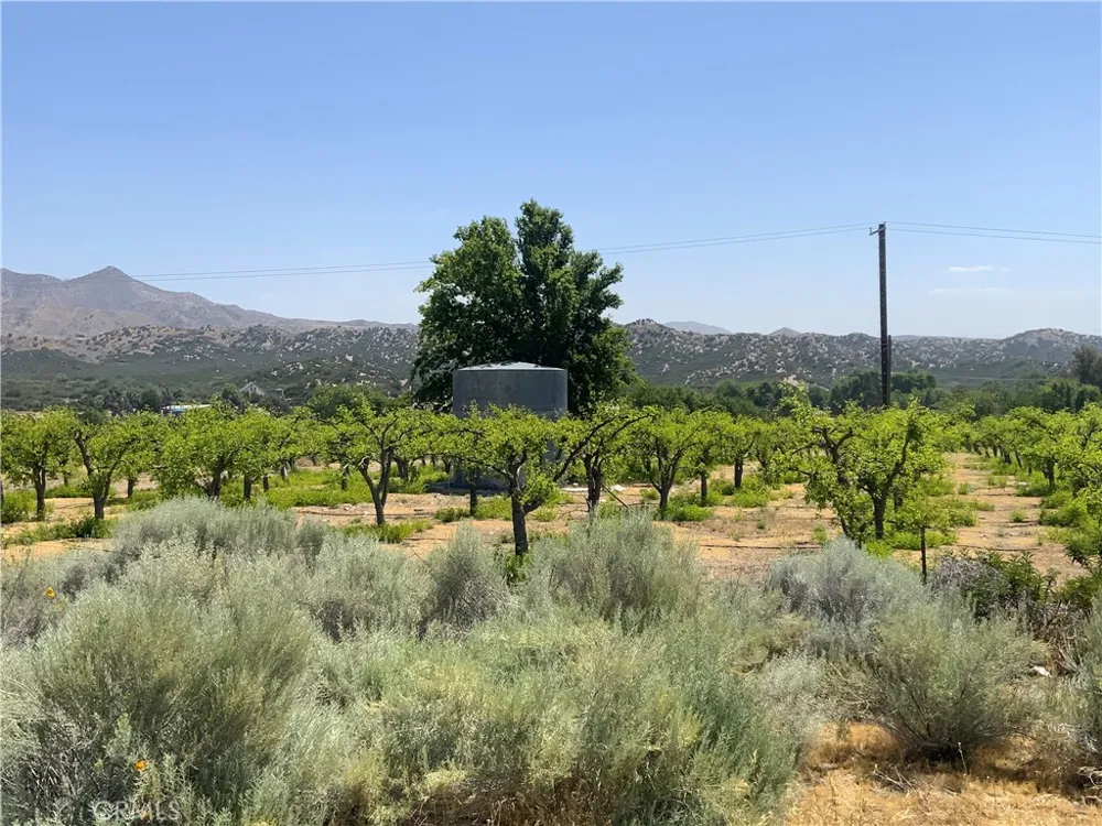 4747 US Highway 138 Phelan, CA 92371
