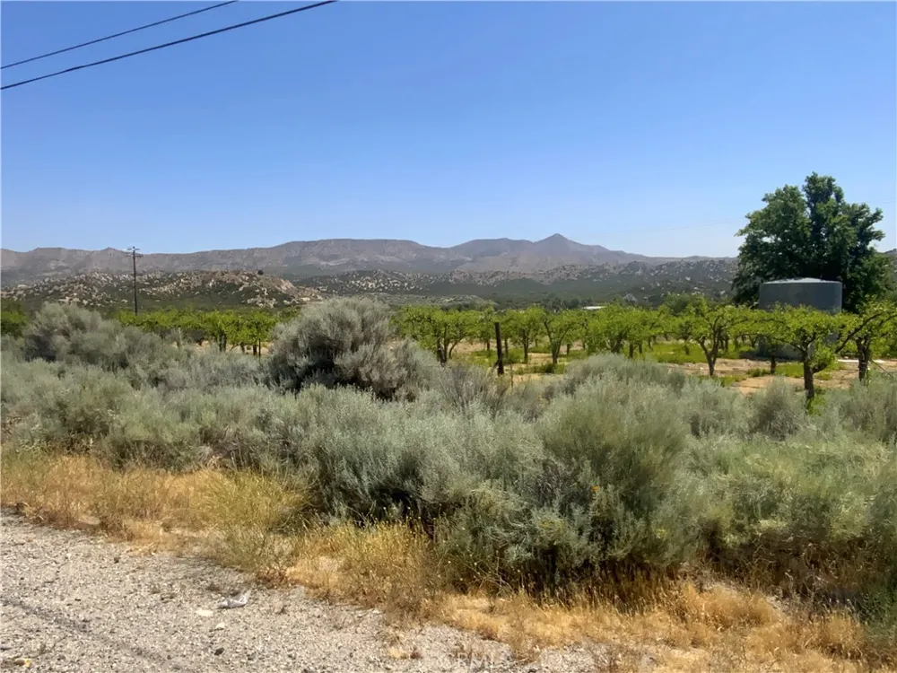 4747 US Highway 138 Phelan, CA 92371