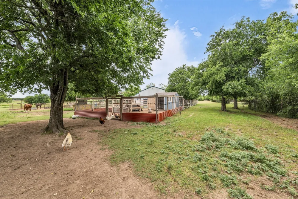 173 County Road 3465 Clifton, TX 76634