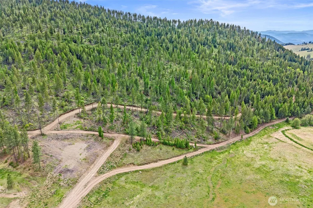 3114 Old Baldy Road Rice, WA 99167