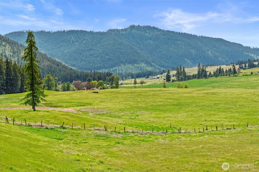 3114 Old Baldy Road Rice, WA 99167