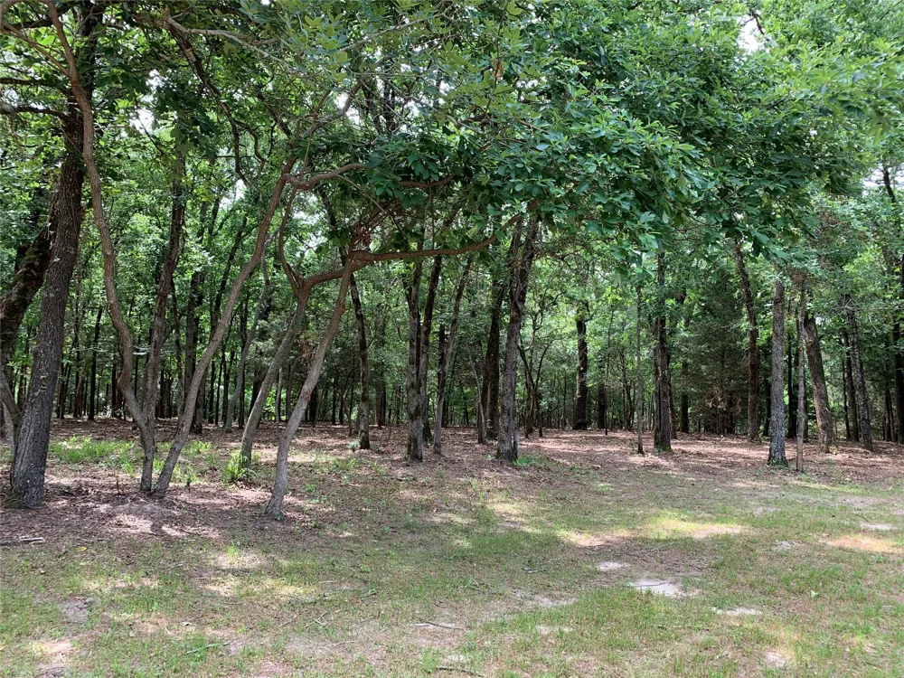 County Road 3711 Athens, TX 75752