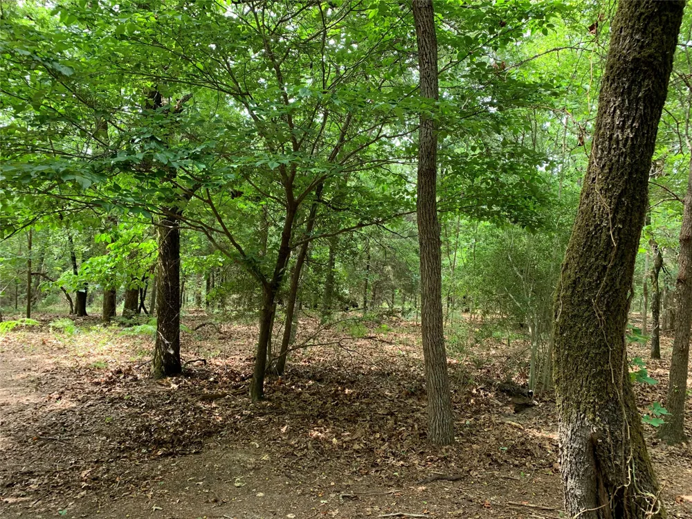 County Road 3711 Athens, TX 75752