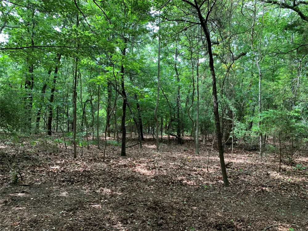 County Road 3711 Athens, TX 75752