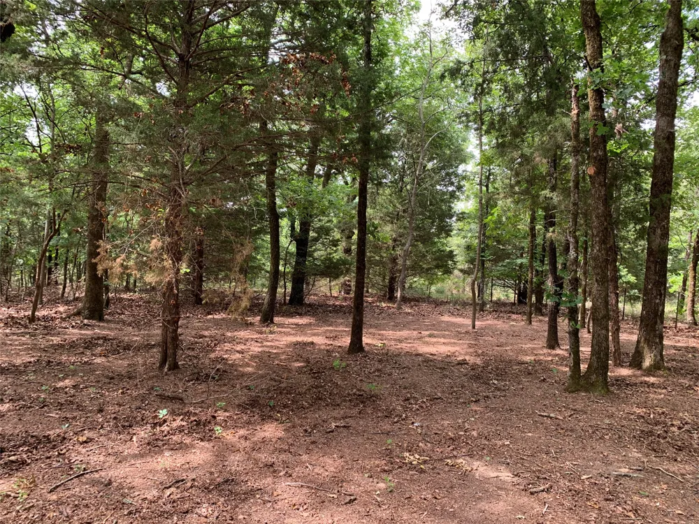 County Road 3711 Athens, TX 75752