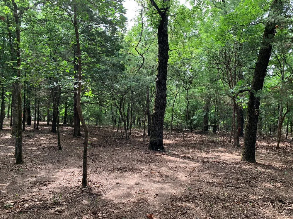 County Road 3711 Athens, TX 75752