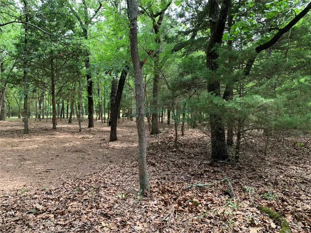 County Road 3711 Athens, TX 75752