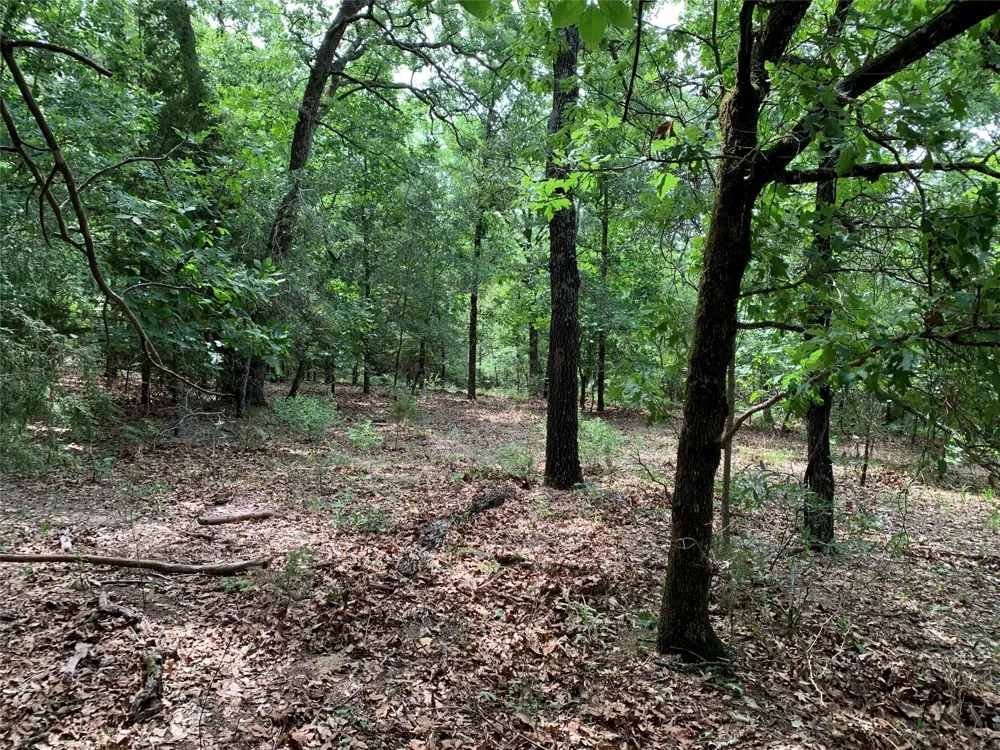 County Road 3711 Athens, TX 75752