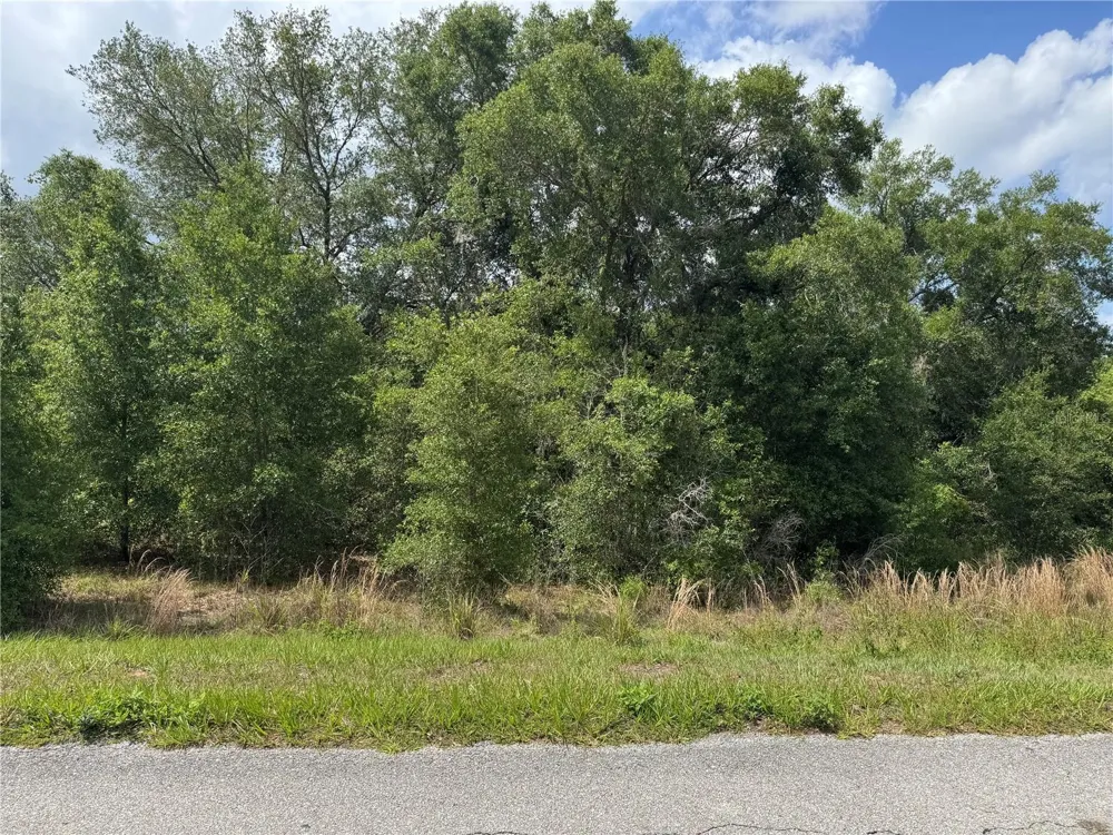 TBD KEENE ROAD Altoona, FL 32702