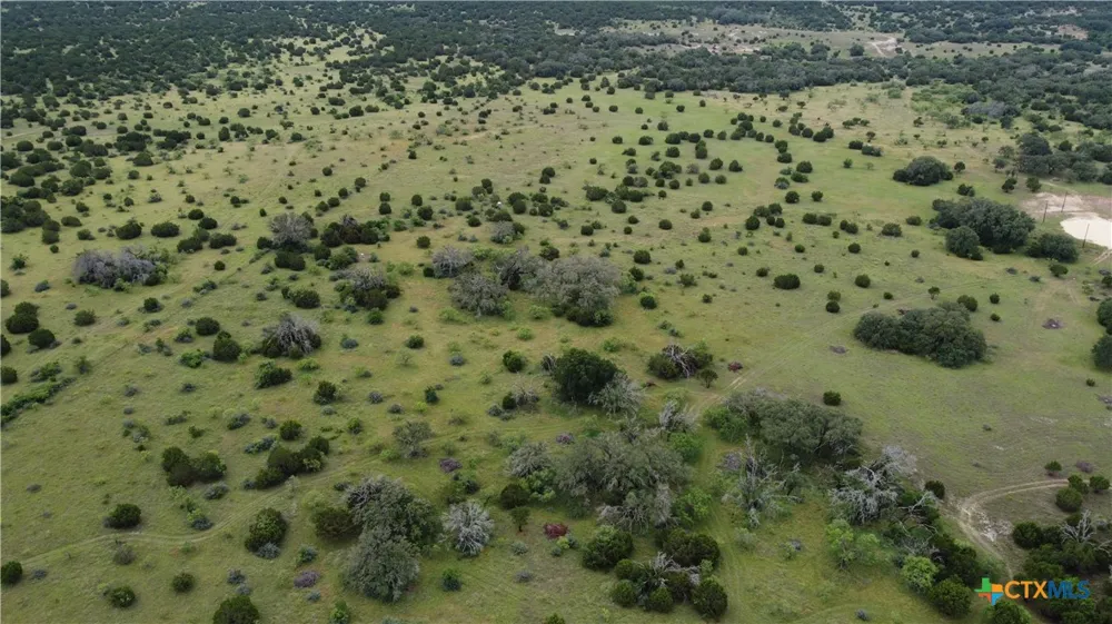 417 Blackjack Oak Drive Goldthwaite, TX 76844