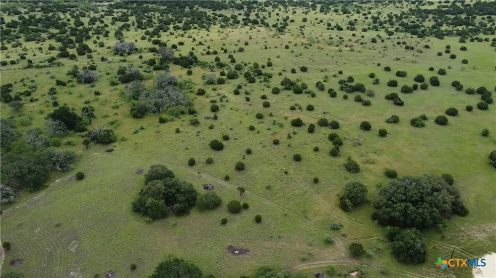 417 Blackjack Oak Drive Goldthwaite, TX 76844