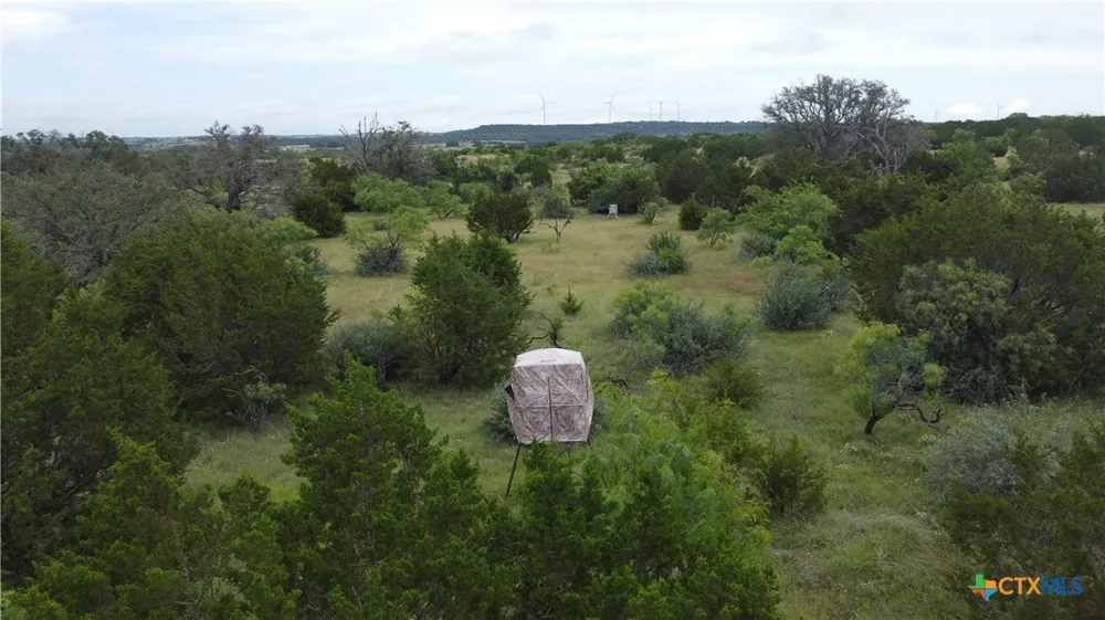 417 Blackjack Oak Drive Goldthwaite, TX 76844