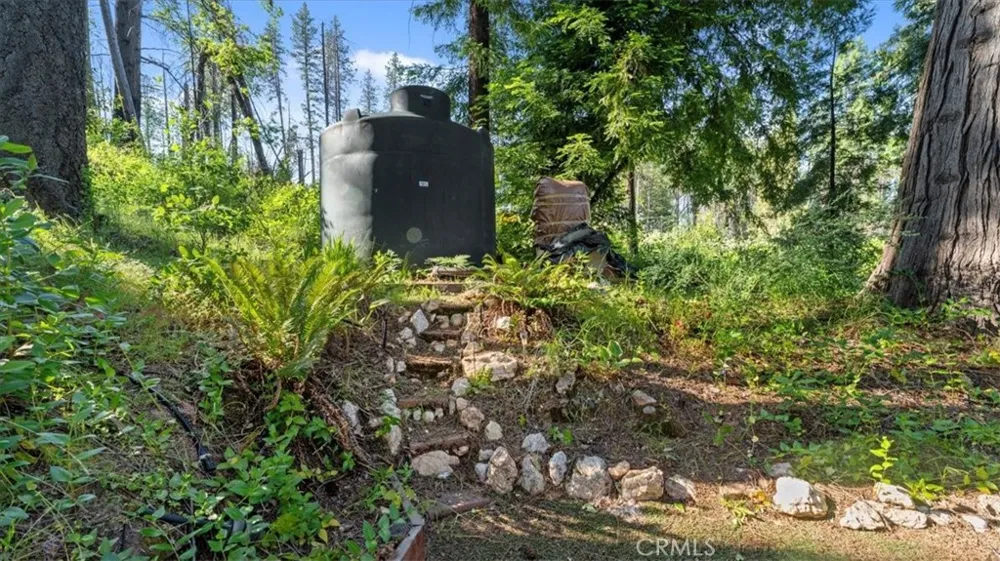 9 Apple Hill Circle Berry Creek, CA 95916