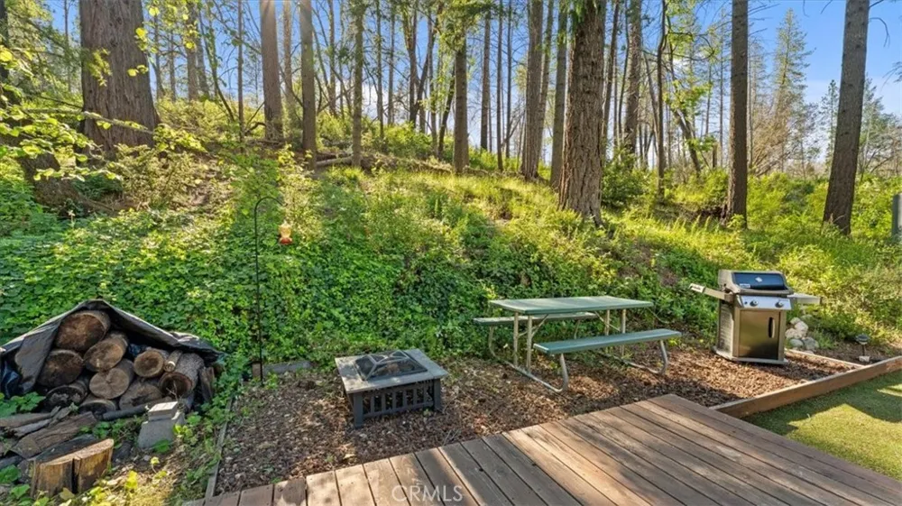 9 Apple Hill Circle Berry Creek, CA 95916