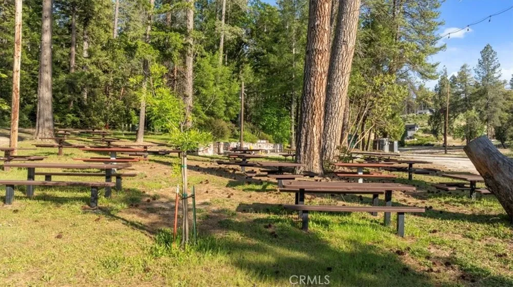 9 Apple Hill Circle Berry Creek, CA 95916