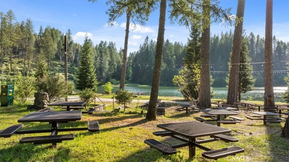 9 Apple Hill Circle Berry Creek, CA 95916