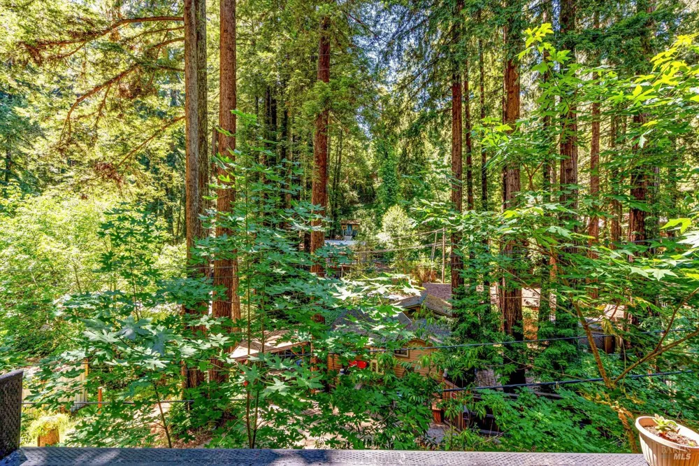 11075 Dell Avenue Forestville, CA 95436