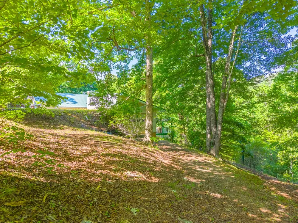 PANTHER CREEK DEV Almond, NC 28702