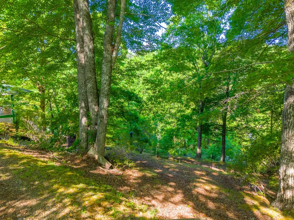 PANTHER CREEK DEV Almond, NC 28702