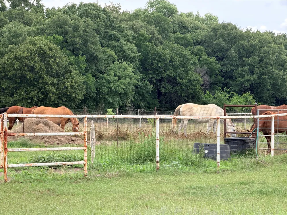 6832 Fm 2931 Aubrey, TX 76227